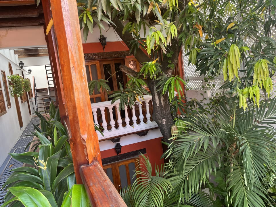 Gartenanlage Hotel Tres Banderas