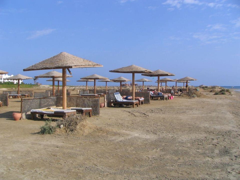 Sonnenplätze Lahami Bay Lahami Bay Beach Resort