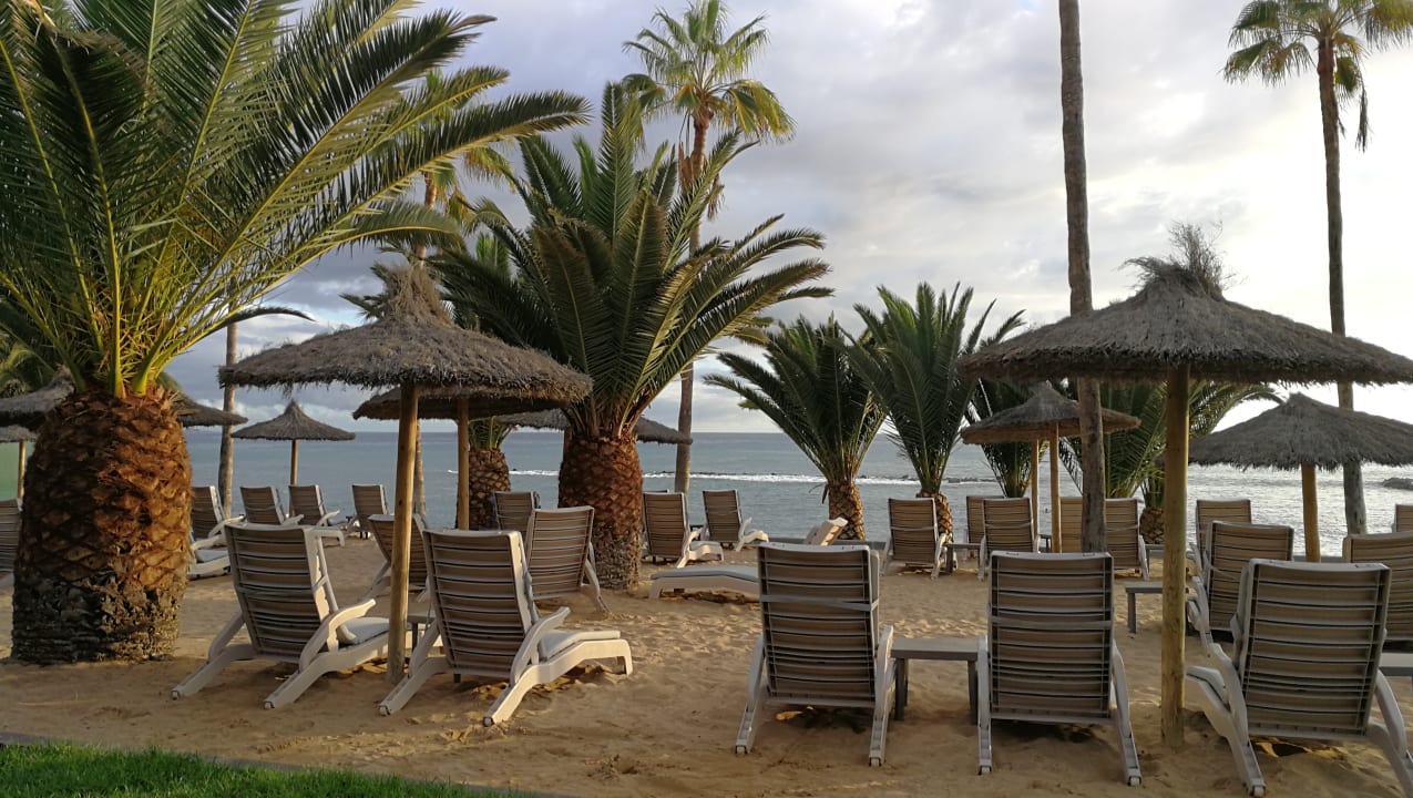 Gartenanlage Hotel Riu Palace Tenerife