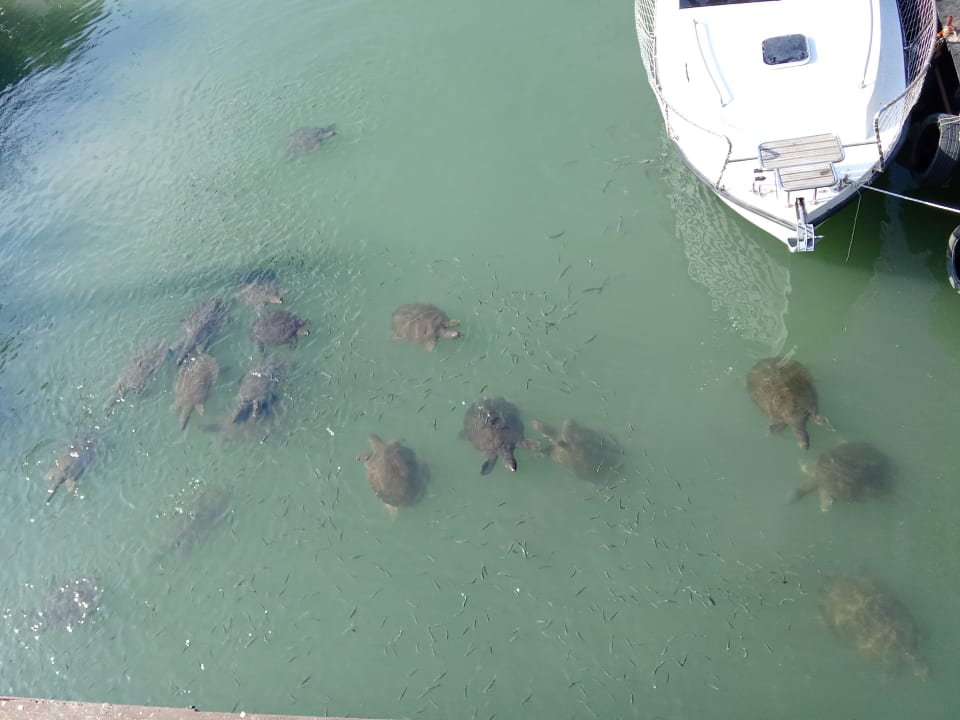 Außenansicht Adalya Resort & Spa - Adults Only