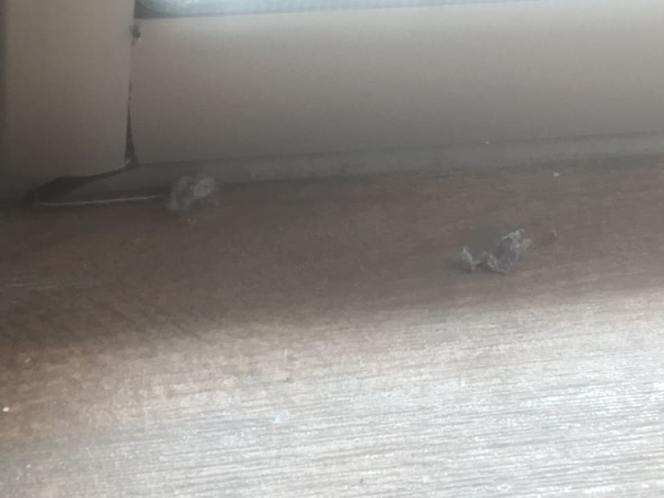 Zimmer Eftalia Ocean Resort & Spa