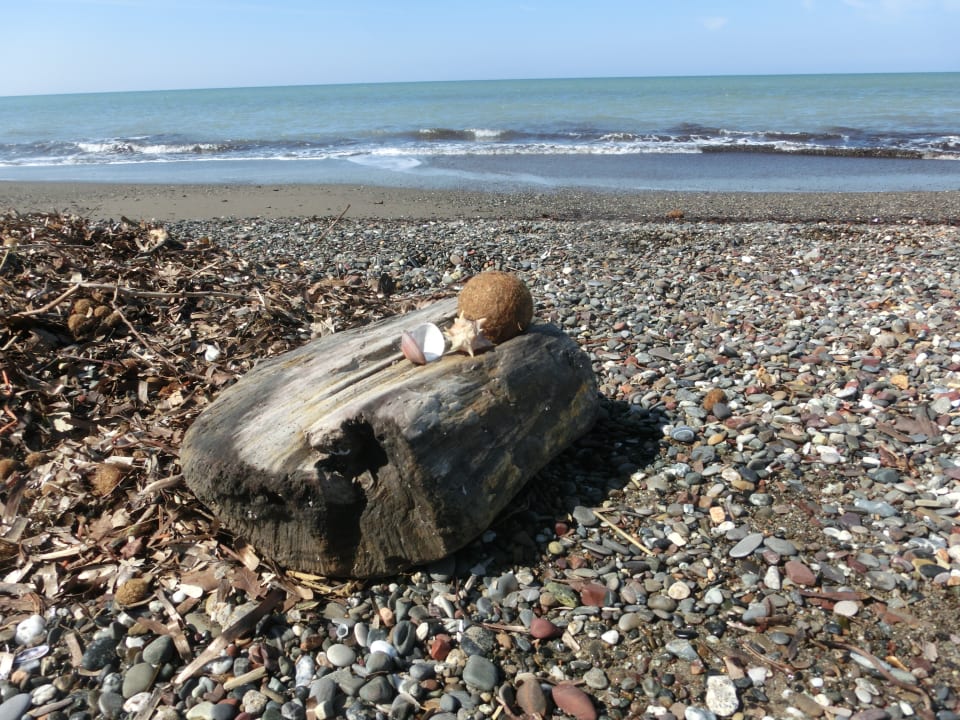 Strand Hotel La Buca Del Gatto