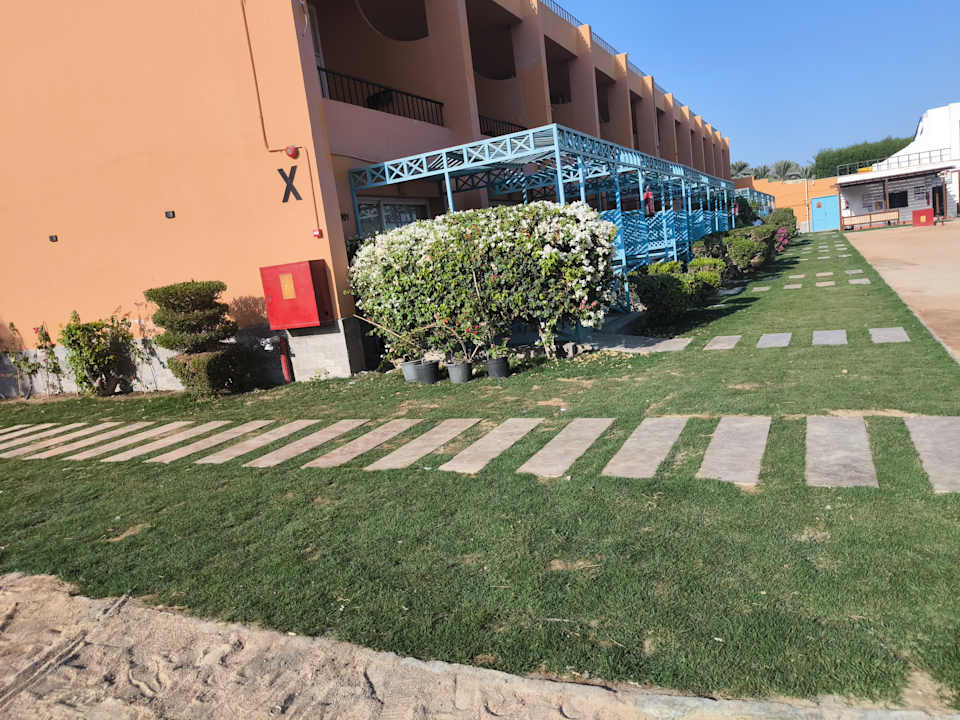 Zimmer Giftun Azur Resort