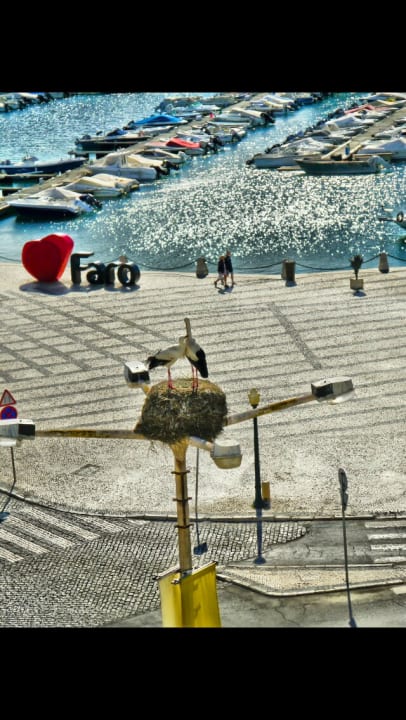 Ausblick Occidental Faro