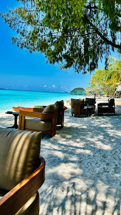 Gastro Summer Island Maldives
