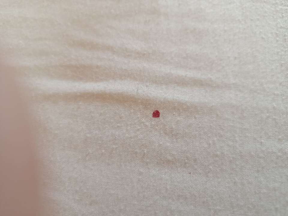 Zimmer Bliss Nada Beach Resort