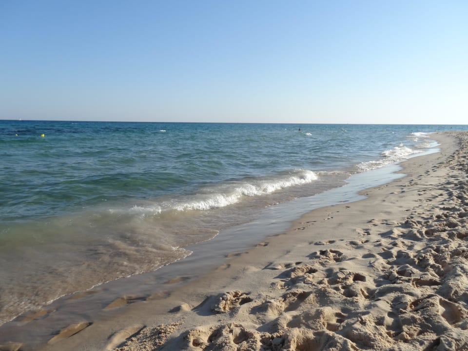 Glasklares Wasser und flach abfallender Strand Hotel Royal Nozha