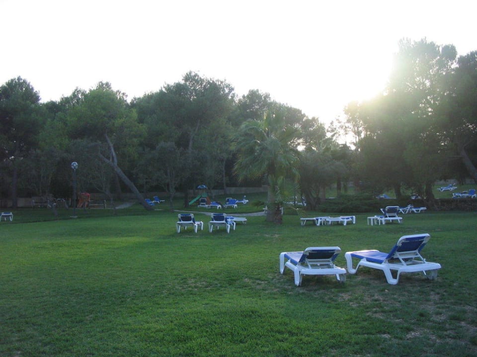 Grünfläche Hotel Exagon Park