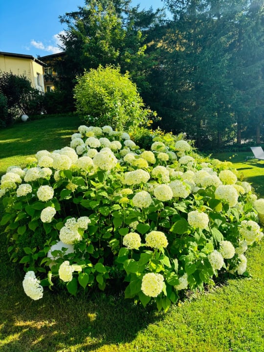 Gartenanlage Hotel Bismarck