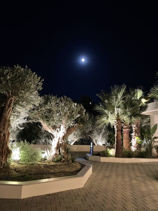 Gartenanlage White Dreams Resort & Anex