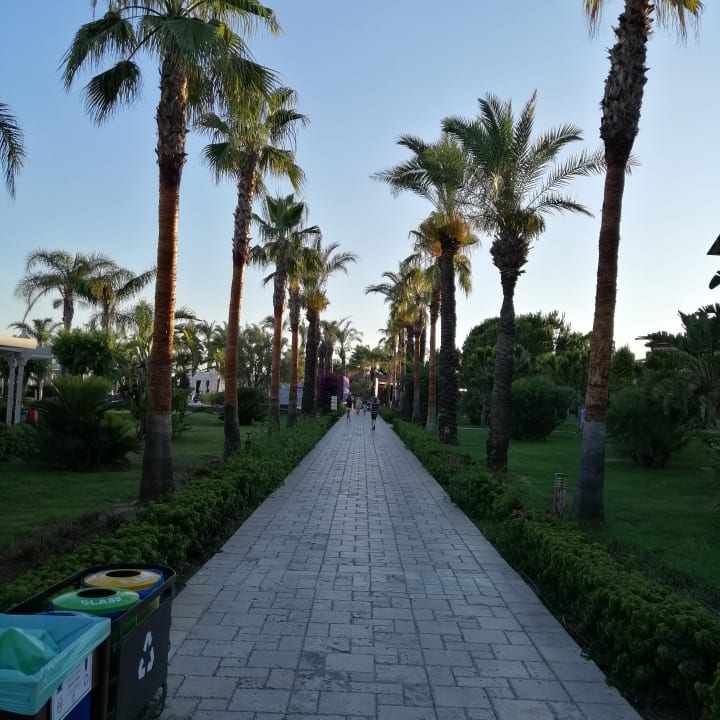 Strand Calimera Serra Palace