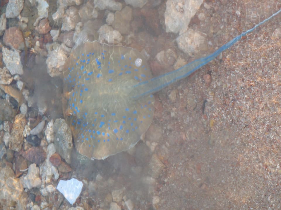 Sport & Freizeit Grand Waterworld Makadi & Family Star Makadi