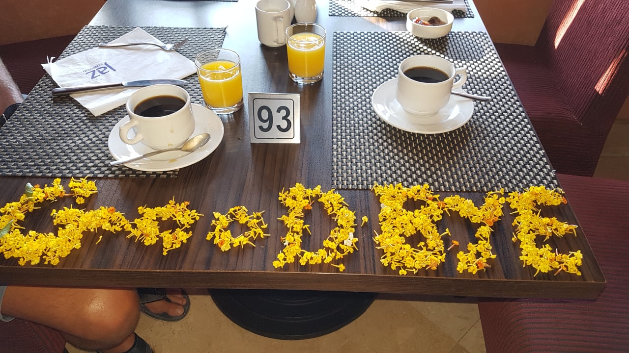 Abschied  Iberotel Makadi Beach