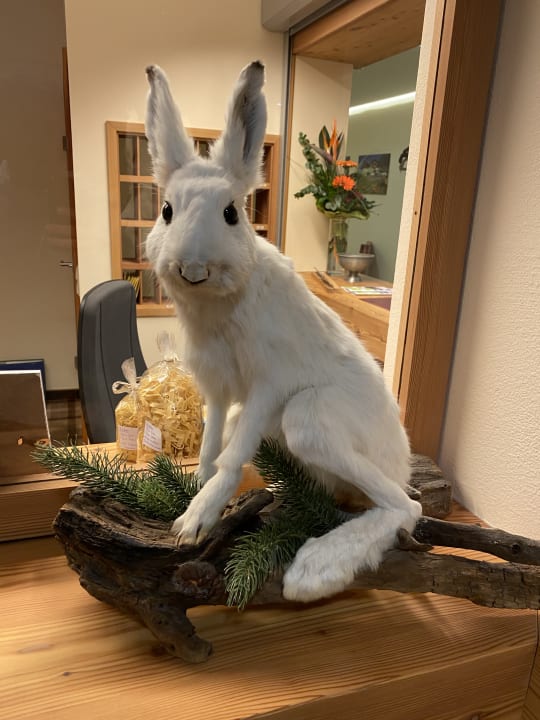 Sonstiges Hotel Schröckerhof