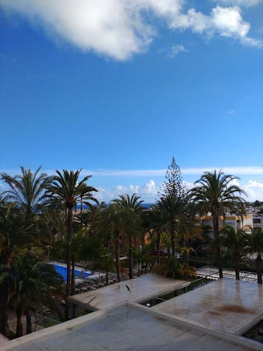 Ausblick Hotel Riu Palace Palmeras