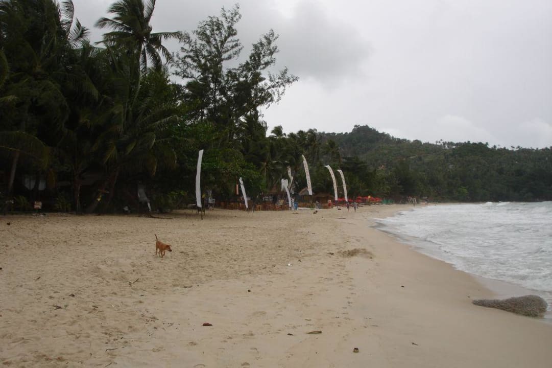 Strand Havana Beach Resort