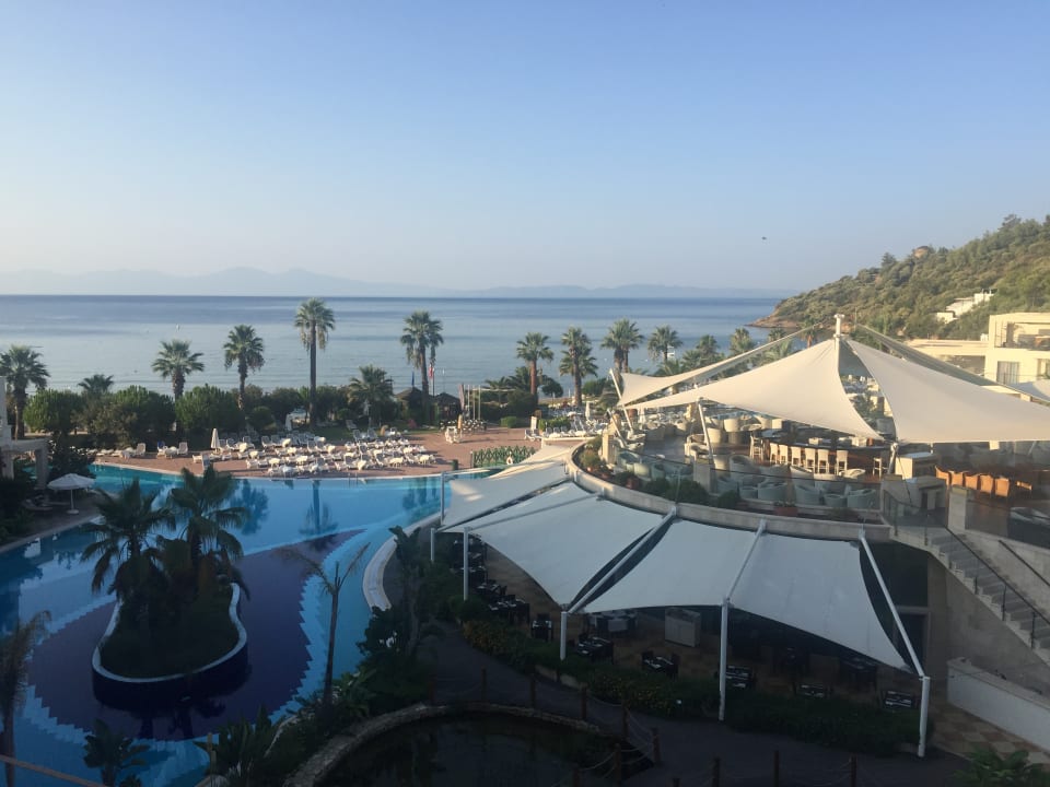 Pool Paloma Pasha