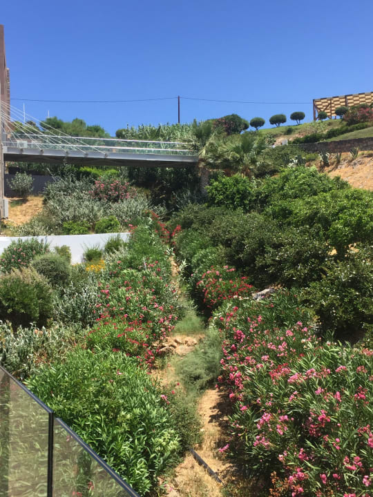 Gartenanlage Atlantica Mikri Poli Crete