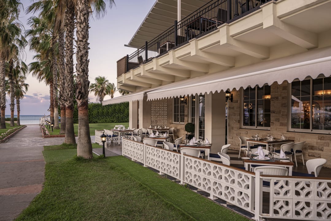 Gastro Papillon Belvil