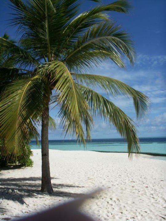 Strandabschnitt Komandoo Island Resort & Spa - Adults only