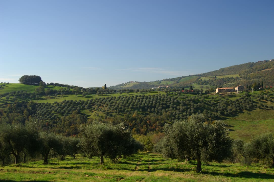 Ausblick Agriturismo Villa La Rogaia