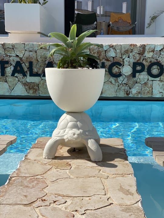 Gartenanlage Lago Resort Menorca - Suites del Lago Adults Only