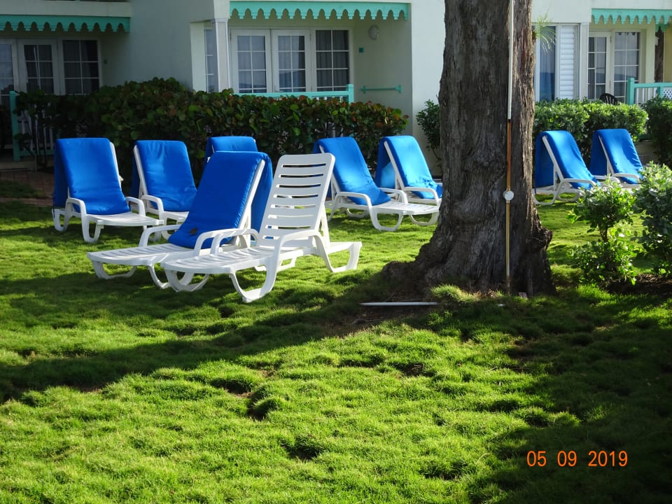 Gartenanlage Blue Orchids Beach Hotel