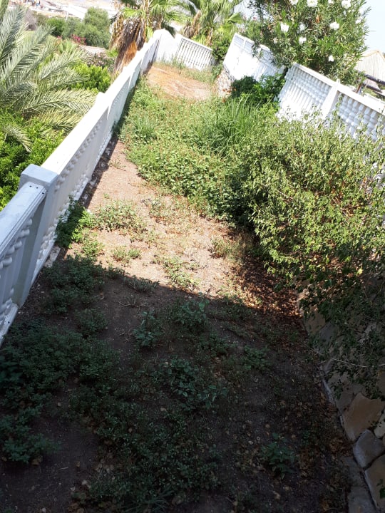 Gartenanlage Hotel Defne Dream