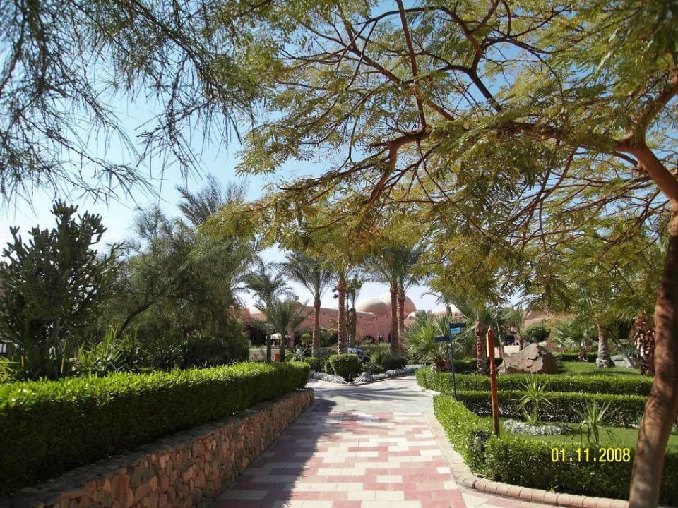 Gartenanlage Jaz Makadi Oasis Resort