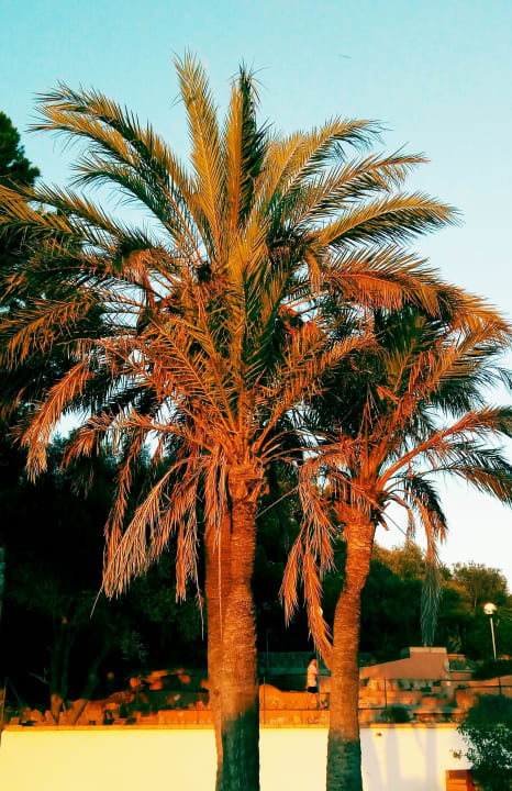 Gartenanlage Sun Club Eldorado