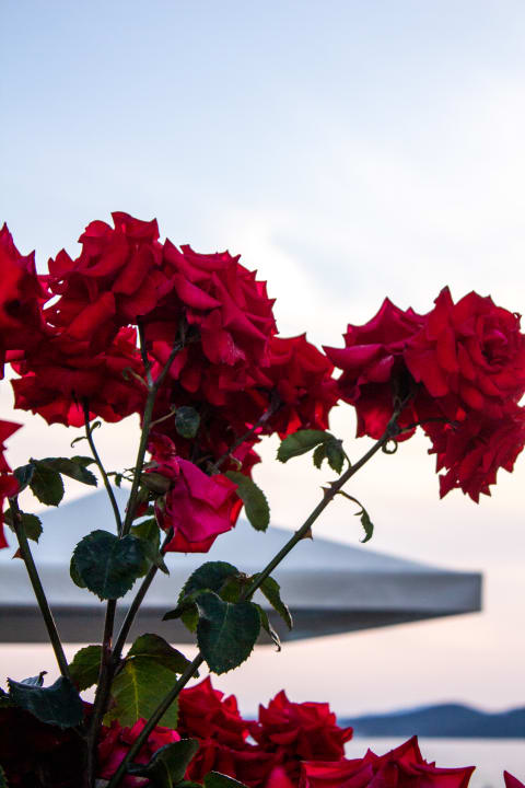 Sonstiges Akrathos Beach Hotel