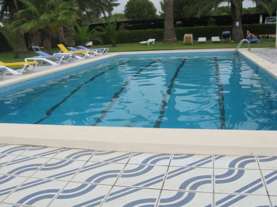 Pool Bungalow Park Colibri