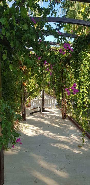 Gartenanlage Saphir Resort & Spa