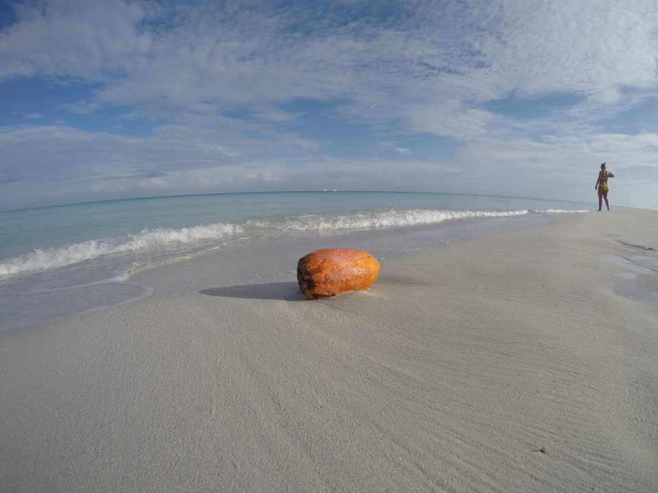 Strand Starfish Cuatro Palmas