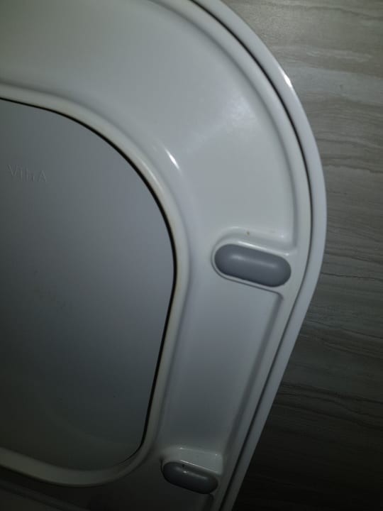 Zimmer Asteria Venus Didim