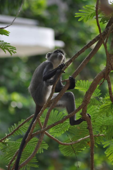 Hotel Neptune Paradise Beach Resort & Spa