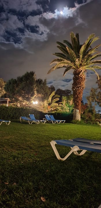 Gartenanlage Apollonia Beach Resort & Spa
