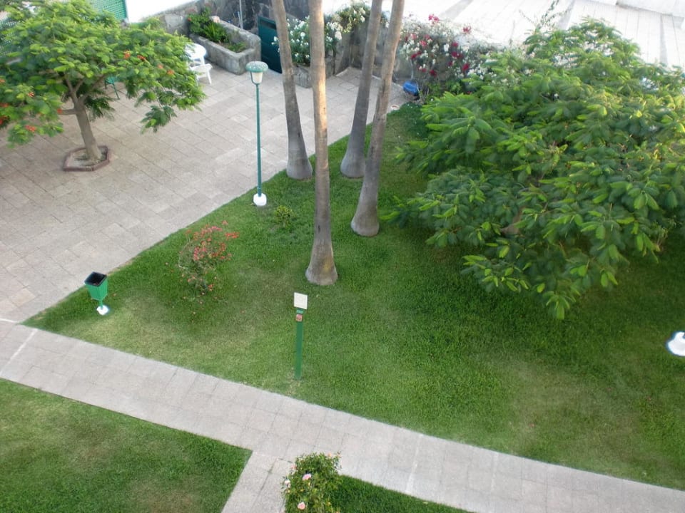 Garten Hotel El Palmar