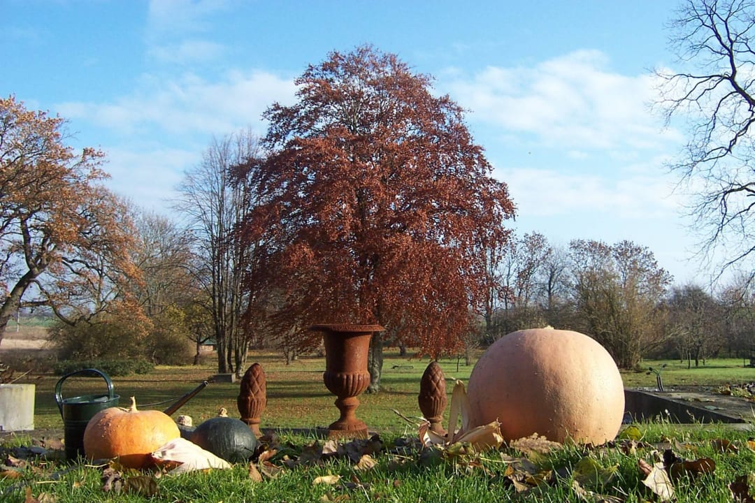 Herbst im Park Ferien & Pferdehof Gut Klein Nienhagen