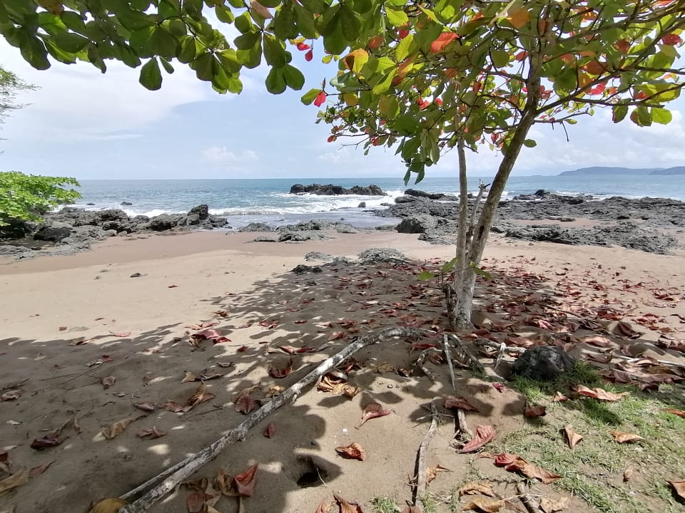 Strand The Sunset Tucano Lodge