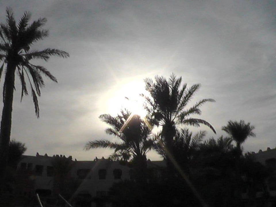 Blick in den Abendhimmel Vincci Safira Palms