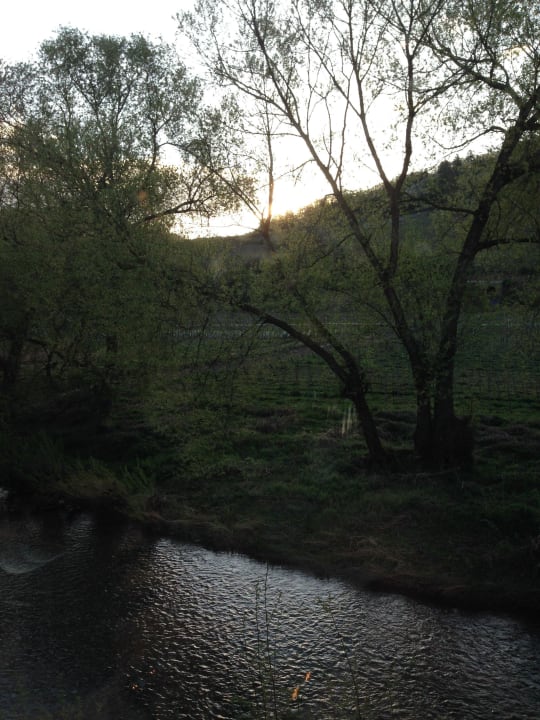 Aus dem Frühstücksraum Hotel Lochmühle