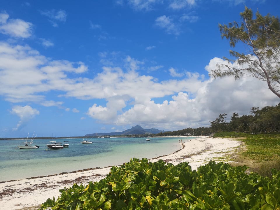 Strand Friday Attitude