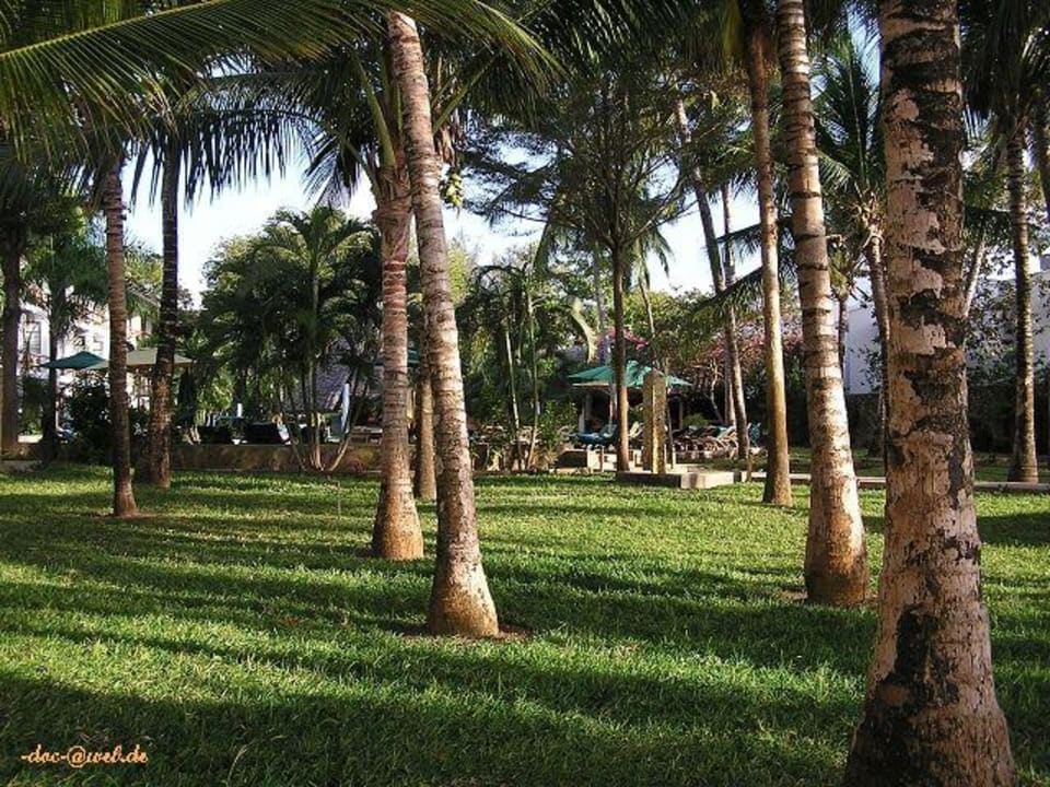 Traveller's Club 29 Hotel Traveller's Club