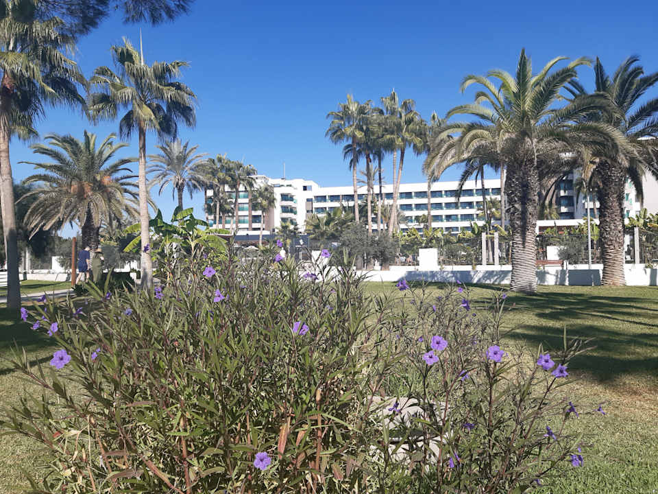 Gartenanlage Süral Saray Hotel