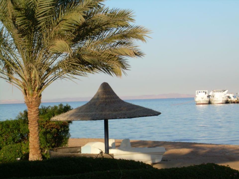 Ausblick von der Terrasse Richtung Südosten Hotel Sweet Home