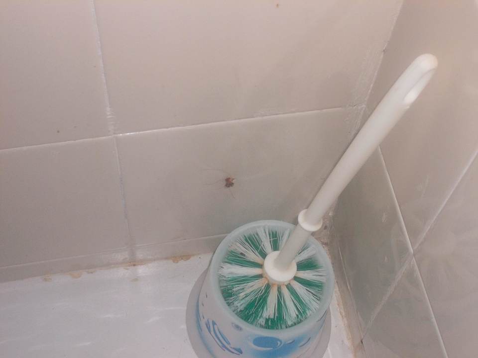 Dreckige Wandfliesen Houda Golf & Beach Club