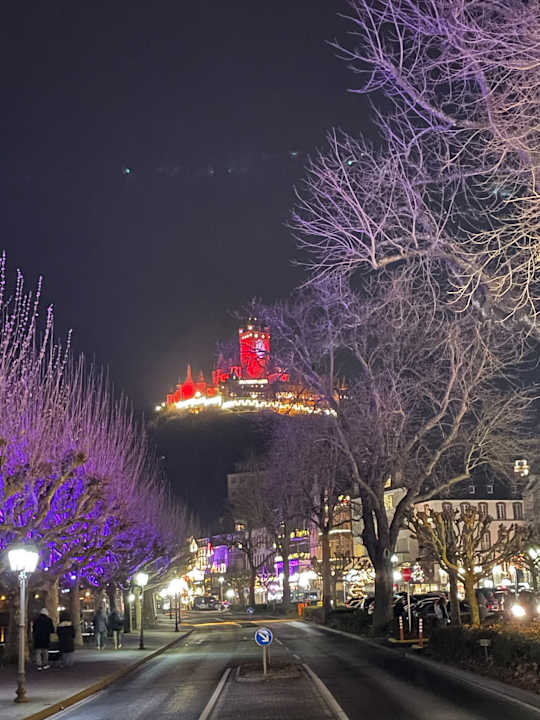 Ausblick Moselstern Hotel Brixiade & Triton
