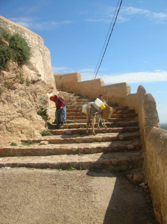 Excursion Hotel African Queen