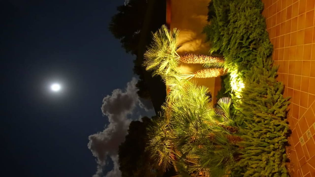 Garten Zafiro Mallorca